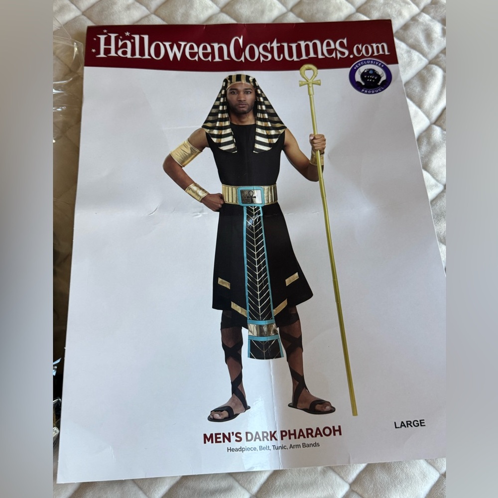 Mens size Large Dark Pharaoh Costume